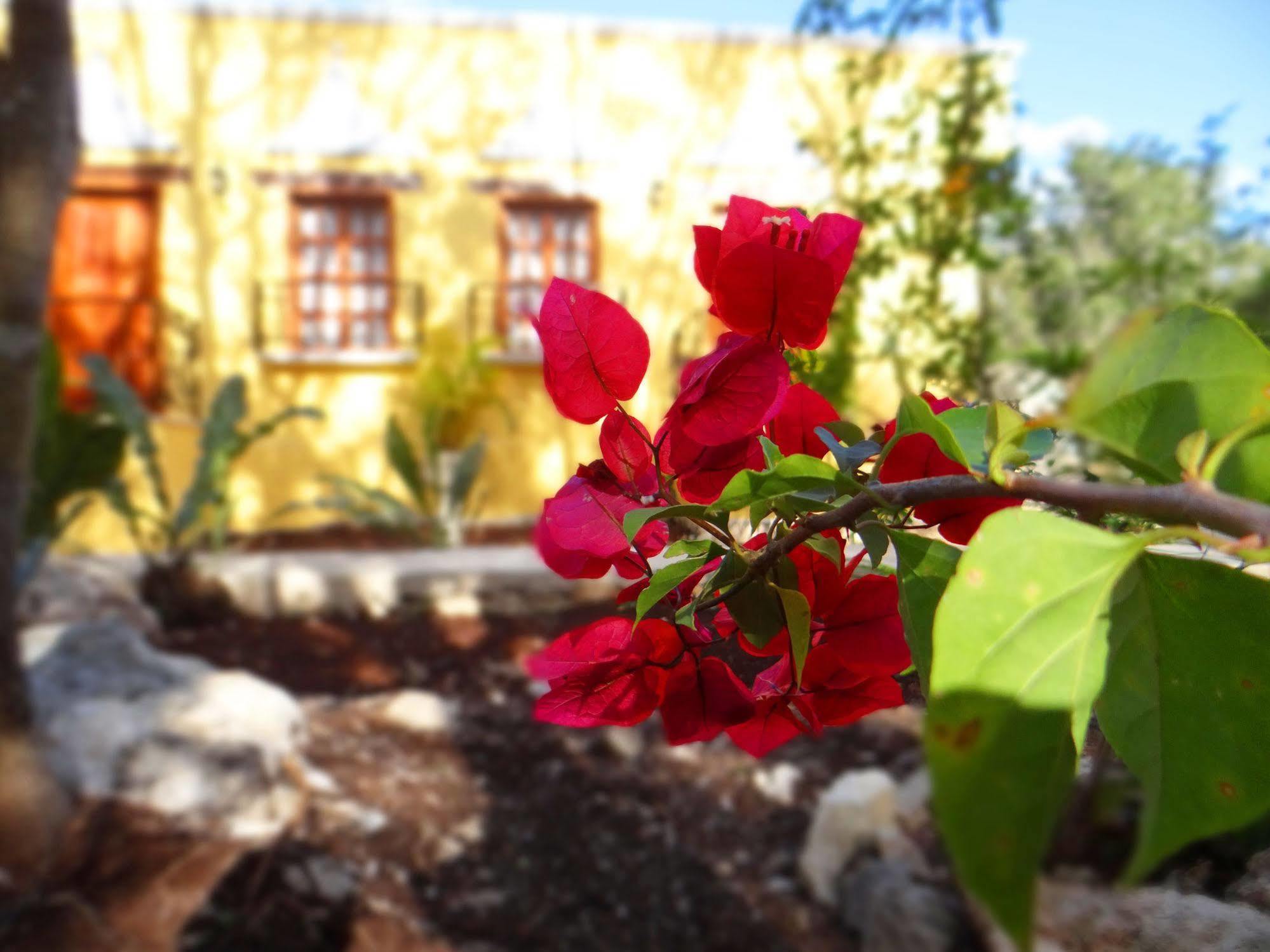 לינה וארוחת בוקר Hacienda Cobá מראה חיצוני תמונה